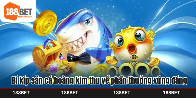 Bí kíp săn cá hoàng kim thu về phần thưởng xứng đáng