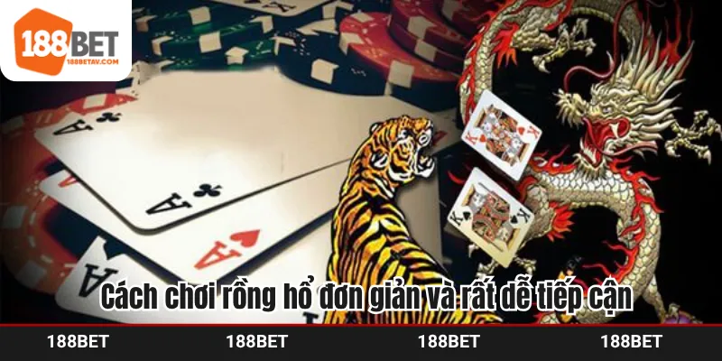 Cách chơi rồng hổ đơn giản và rất dễ tiếp cận