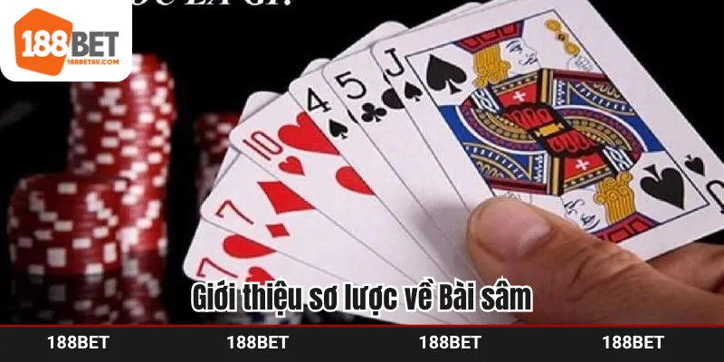 Giới thiệu sơ lược về Bài sâm