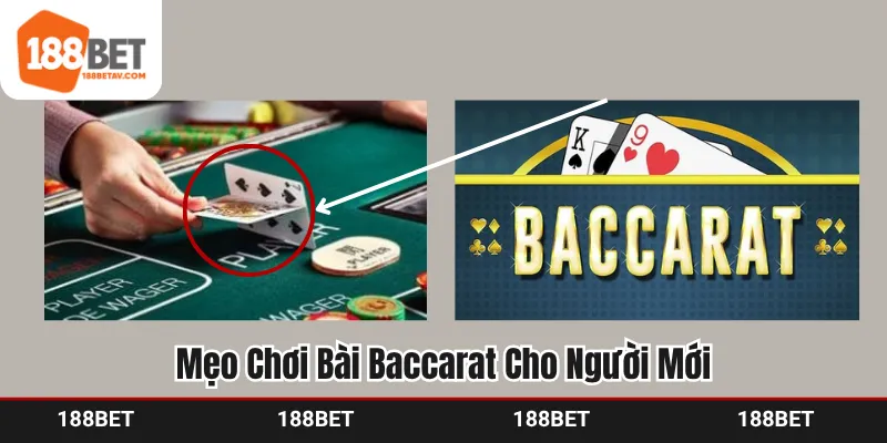 Mẹo Chơi Bài Baccarat Cho Người Mới, Dễ Áp Dụng, Dễ Thắng